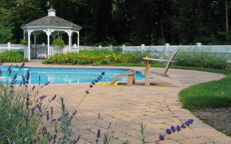 ducks-pool